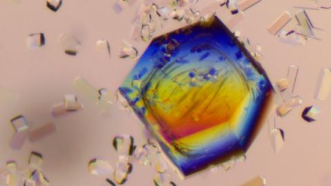 birefringent lysozyme crystal