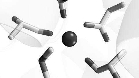 Nramp metal binding site in black and white