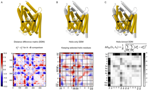 Figure illustrating various types of distance difference matrices used in the analysis of LeuT-fold transporters